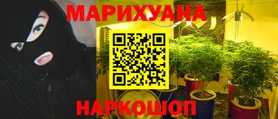 крисы Тула