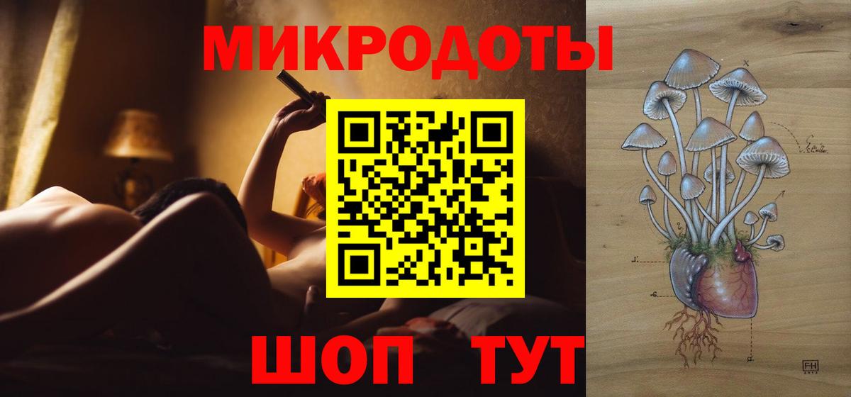 Галлюциногенные грибы Psilocybine cubensis Ростов Великий